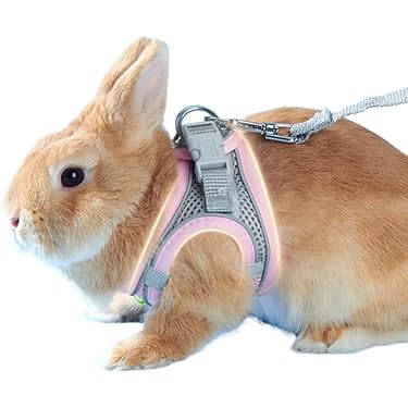 Amazon.co.jp 売れ筋ランキング: 小動物用首輪・ハーネス・リード の中